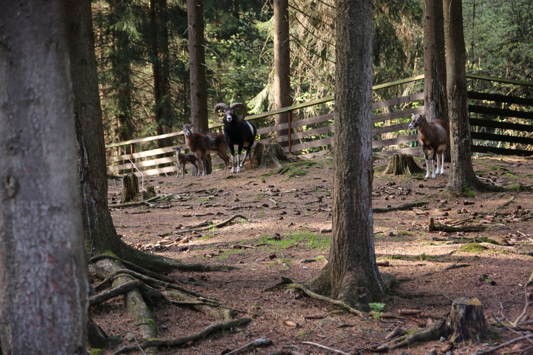 NDT workshop 2025 Bílá